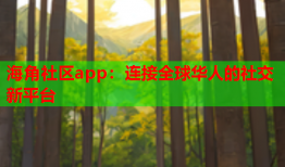 海角社区app：连接全球华人的社交新平台