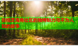 张柏芝海角社区的独特魅力与不为人知的故事