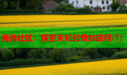 海角社区：探索未知的奇妙旅程(1)