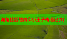 海角社区的真实小王子奇遇记(1)