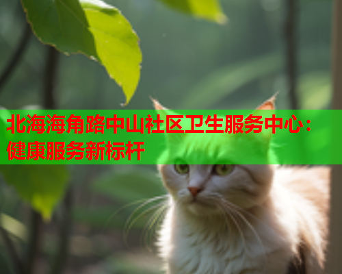 北海海角路中山社区卫生服务中心：健康服务新标杆