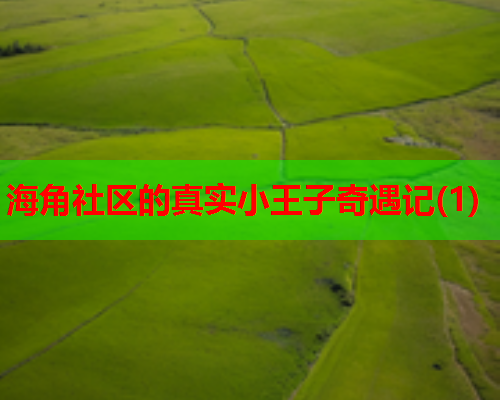 海角社区的真实小王子奇遇记(1)