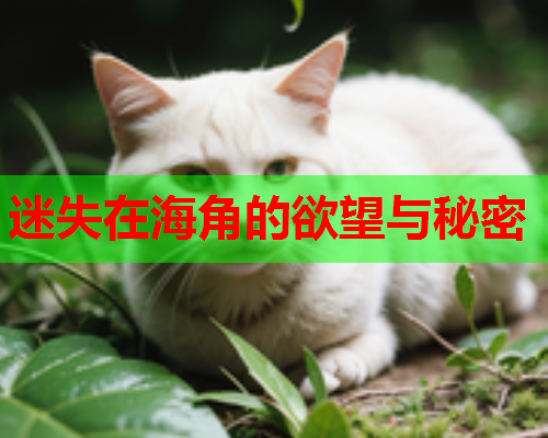 迷失在海角的欲望与秘密