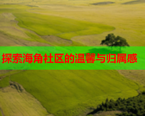 探索海角社区的温馨与归属感