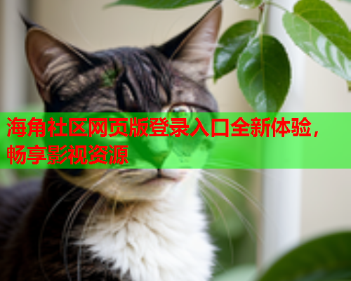 海角社区网页版登录入口全新体验，畅享影视资源