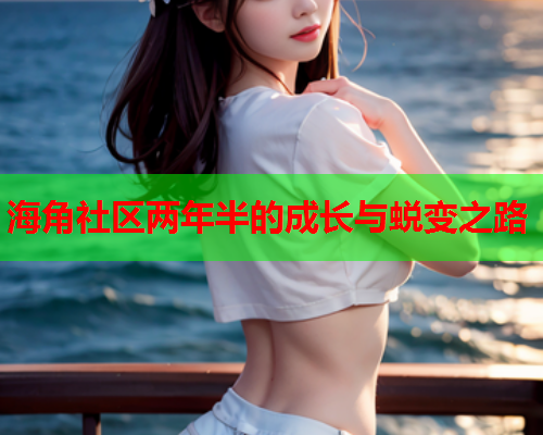 海角社区两年半的成长与蜕变之路